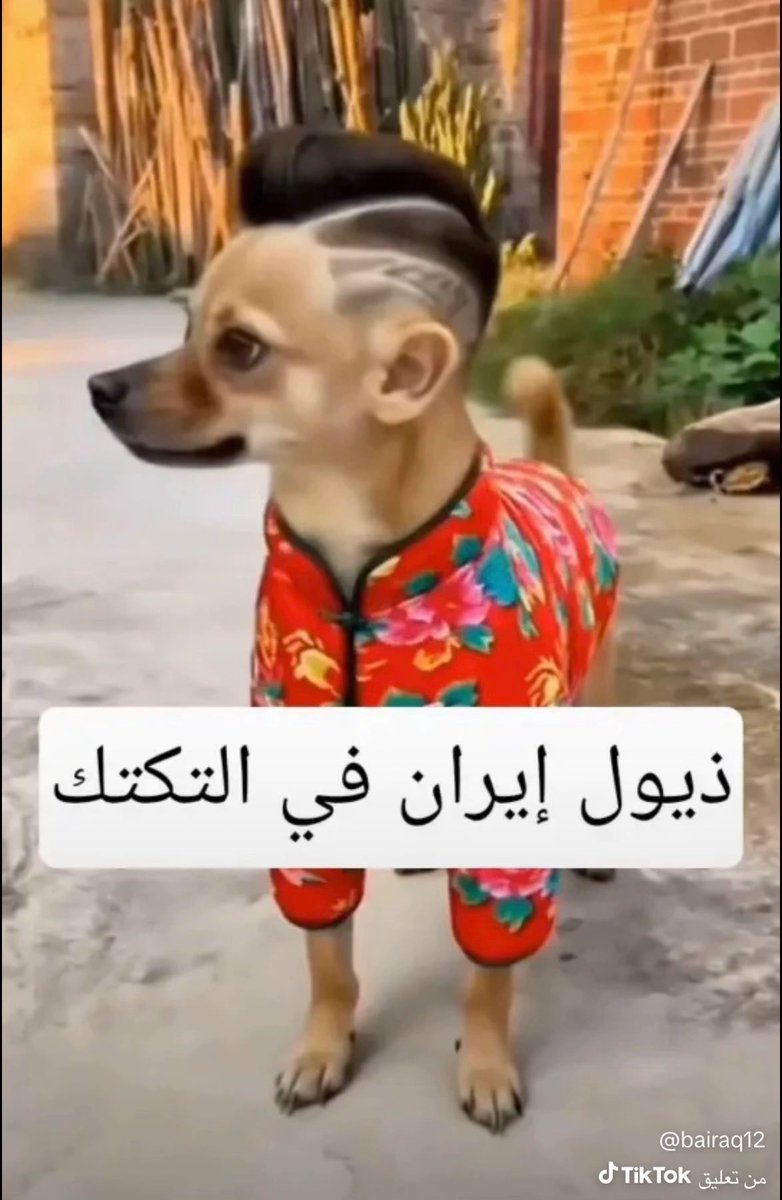 تليسكوب tweet media