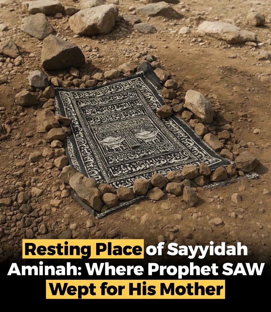 Allah Islam Quran tweet media