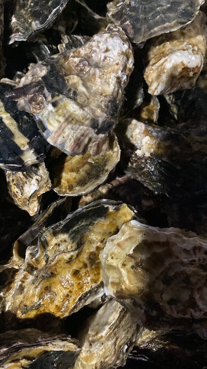 べやんジュエルミート tweet media