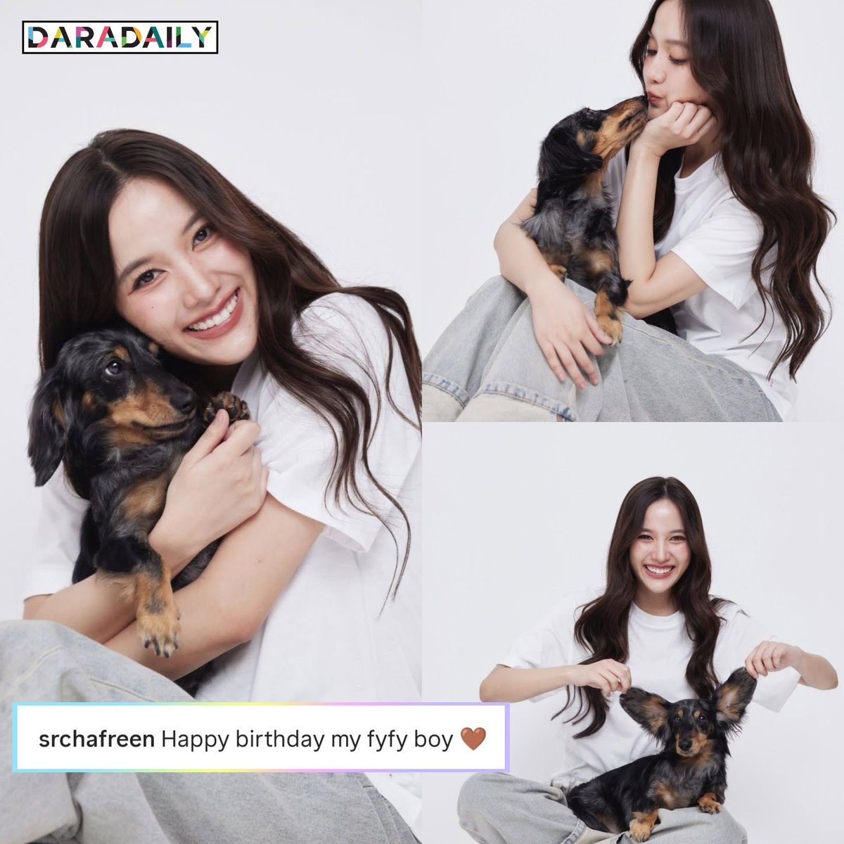 daradaily tweet media