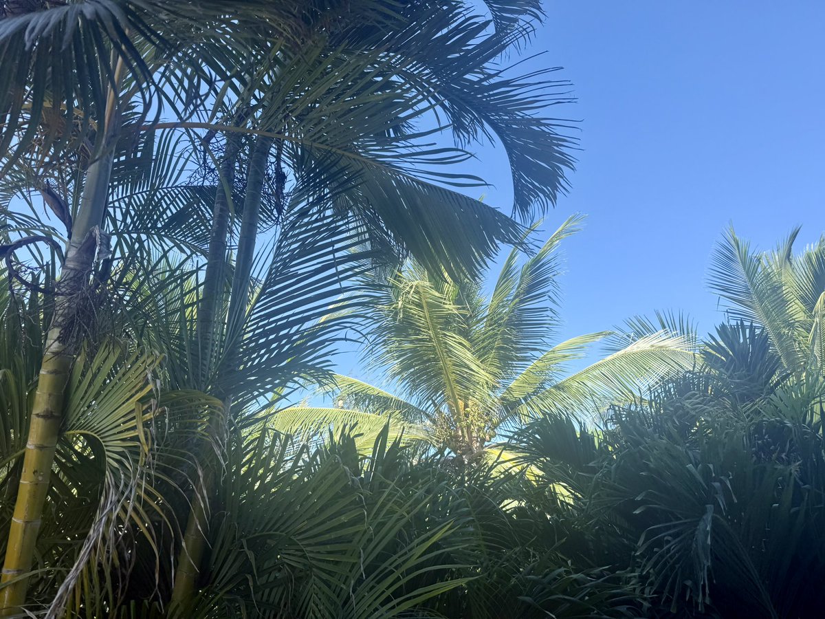 Jason Brewer tweet media