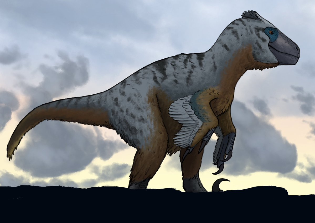 SaurianCYH tweet media