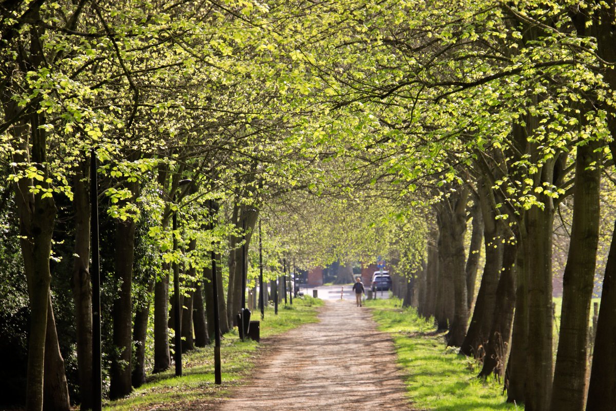 Luc Lambert tweet media