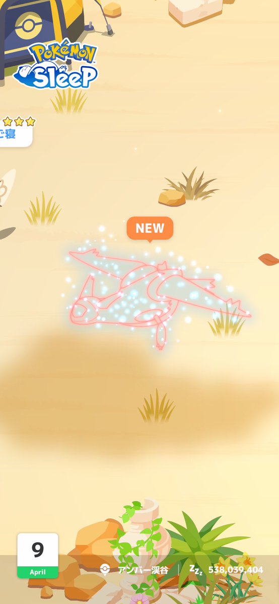 オリーブ tweet media