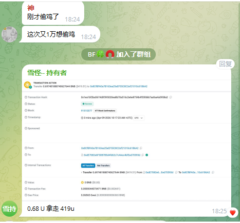 BNB拍卖 tweet media