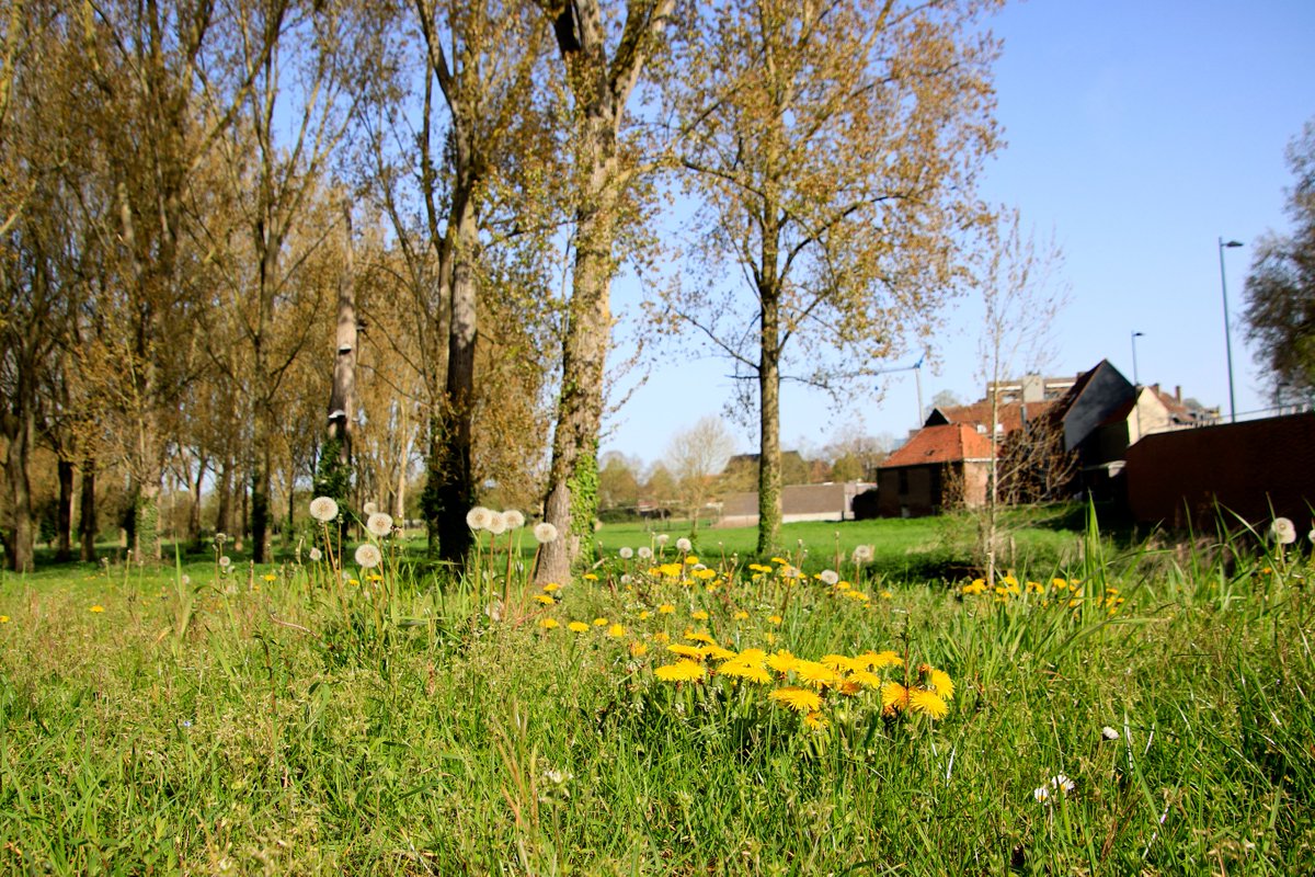 Luc Lambert tweet media