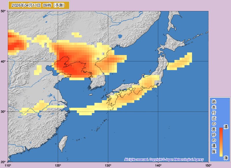 荒木健太郎 tweet media