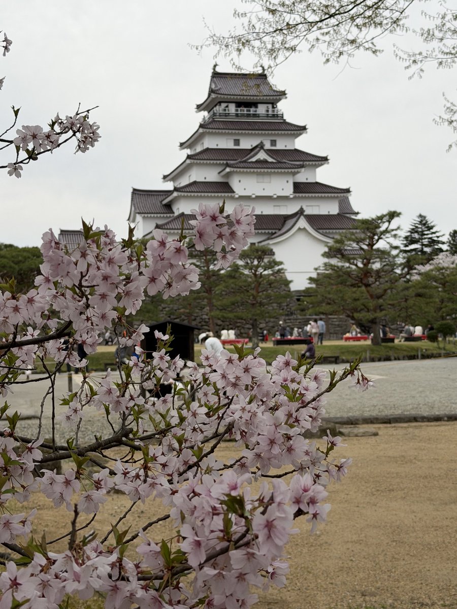 Erwin Vollmann🎗 tweet media