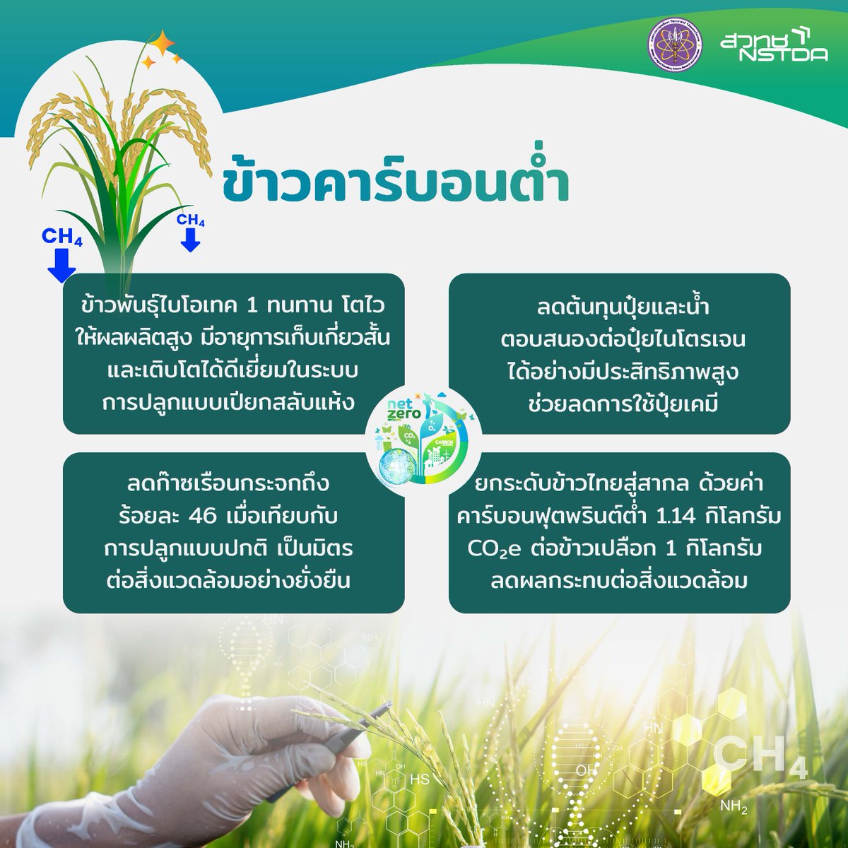 NSTDA THAILAND tweet media