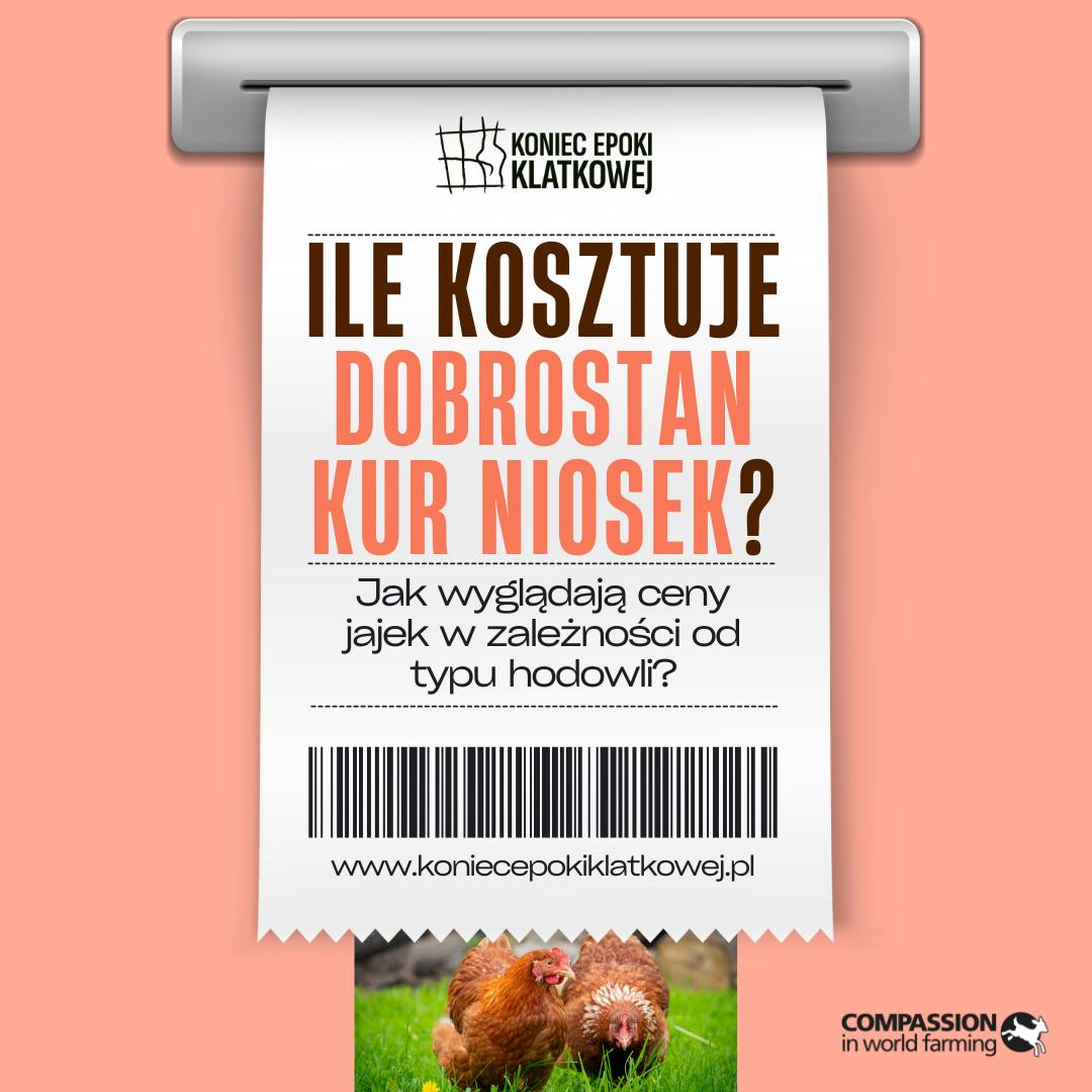 Compassion Polska tweet media