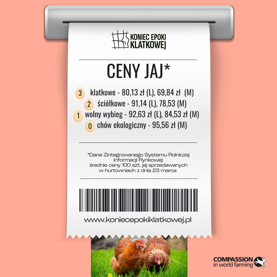 Compassion Polska tweet media