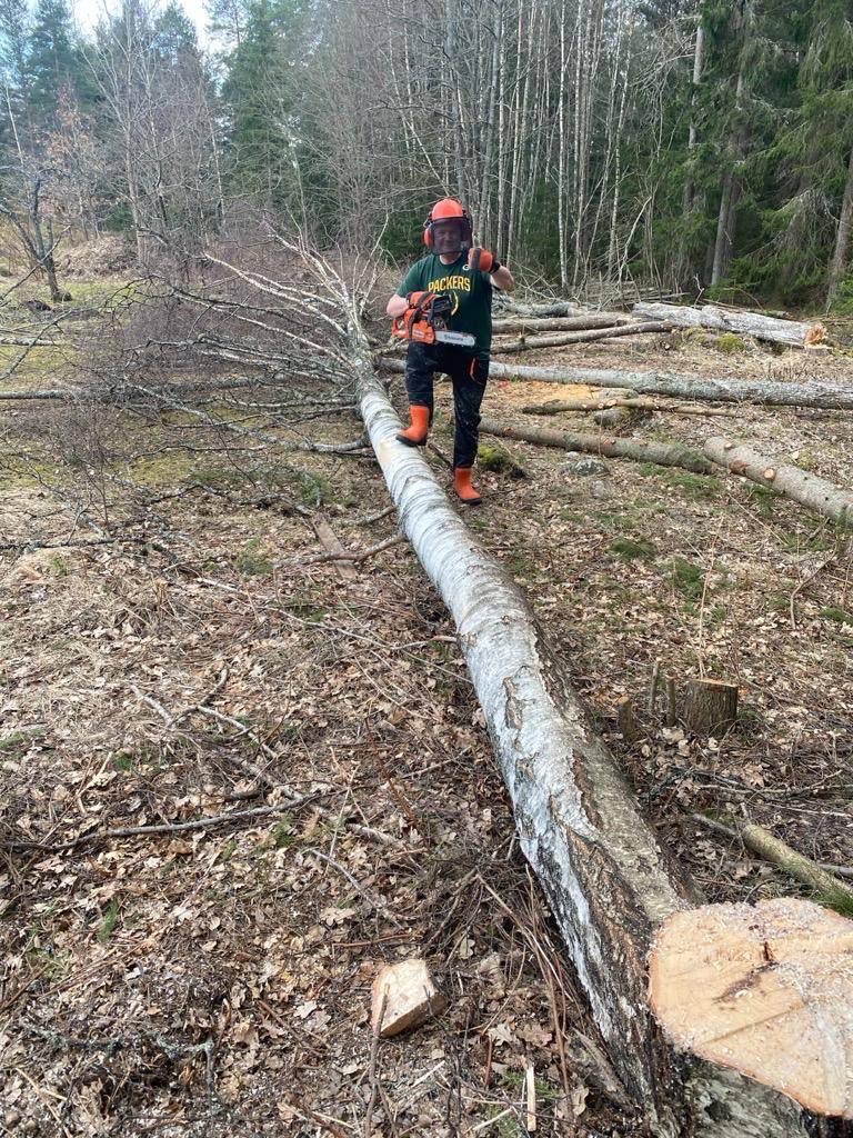 Tobias Baudin tweet media