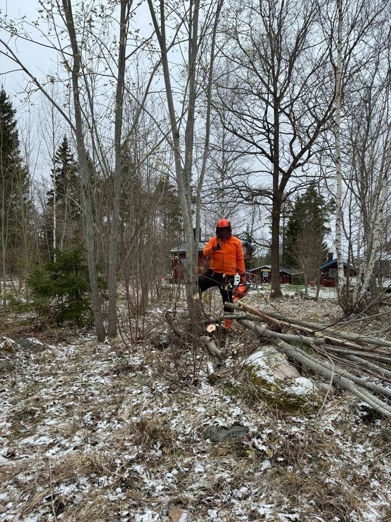 Tobias Baudin tweet media