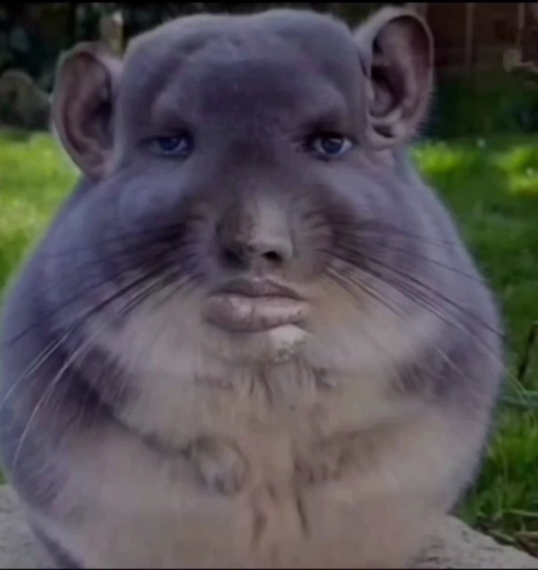 Shadow #OkanBurukİstifa tweet media