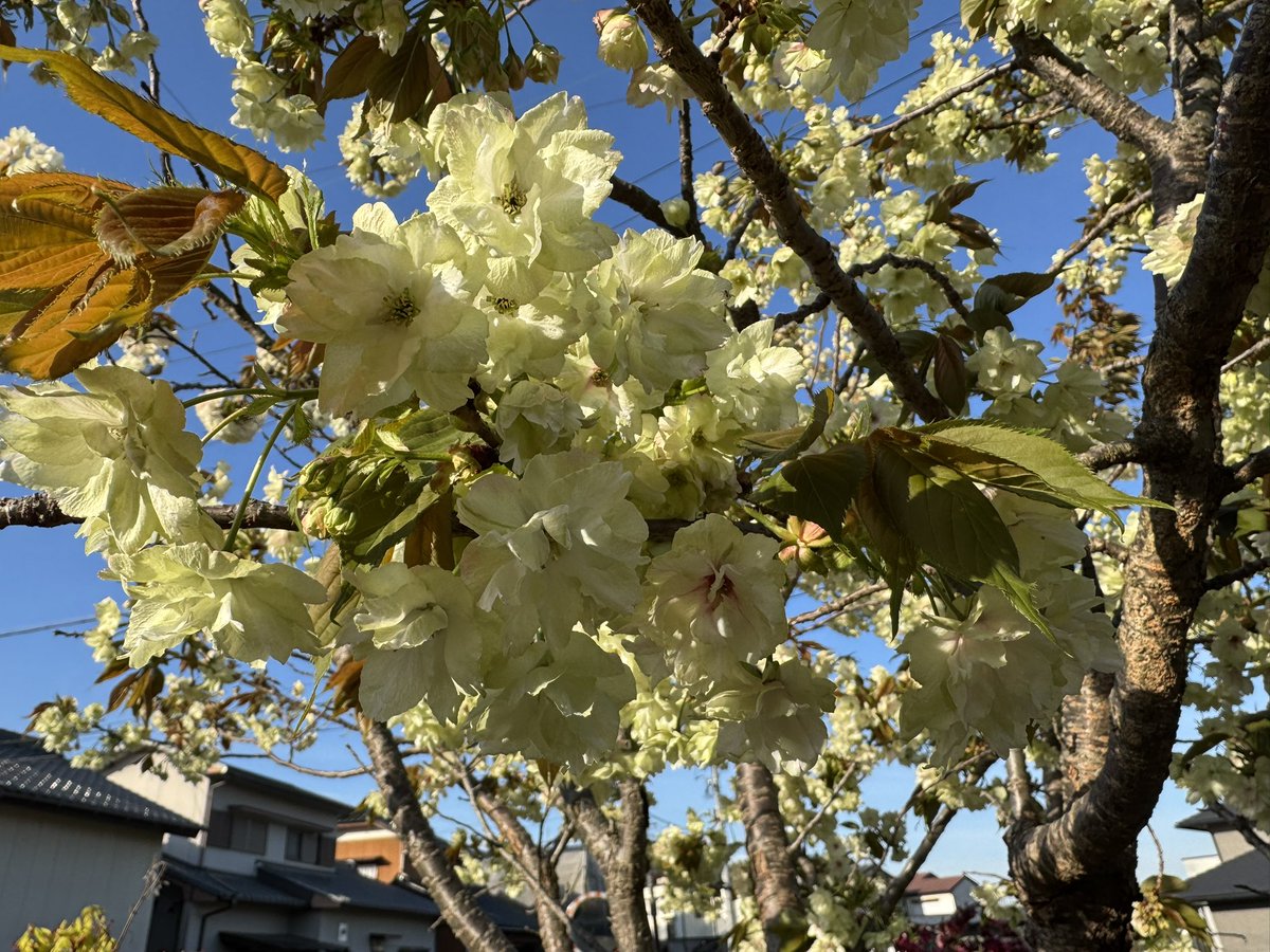 馨くん。★もふもふとタイバニ tweet media