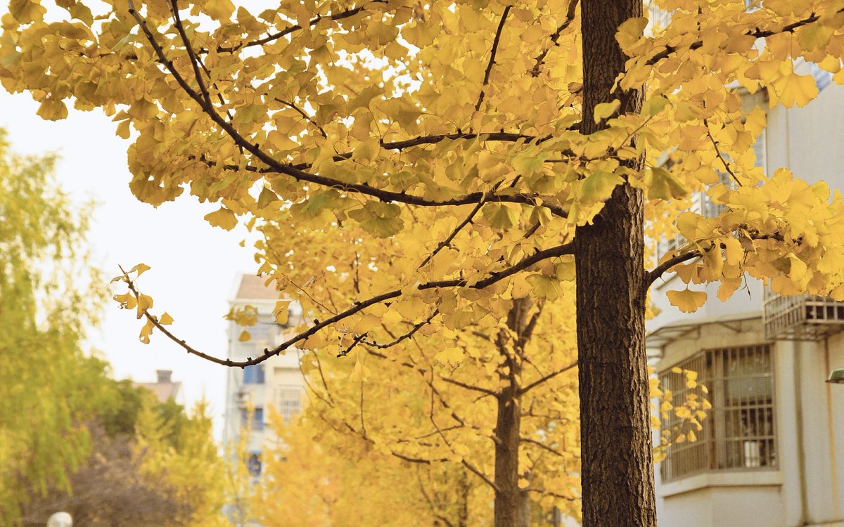 jonathan davis tweet media