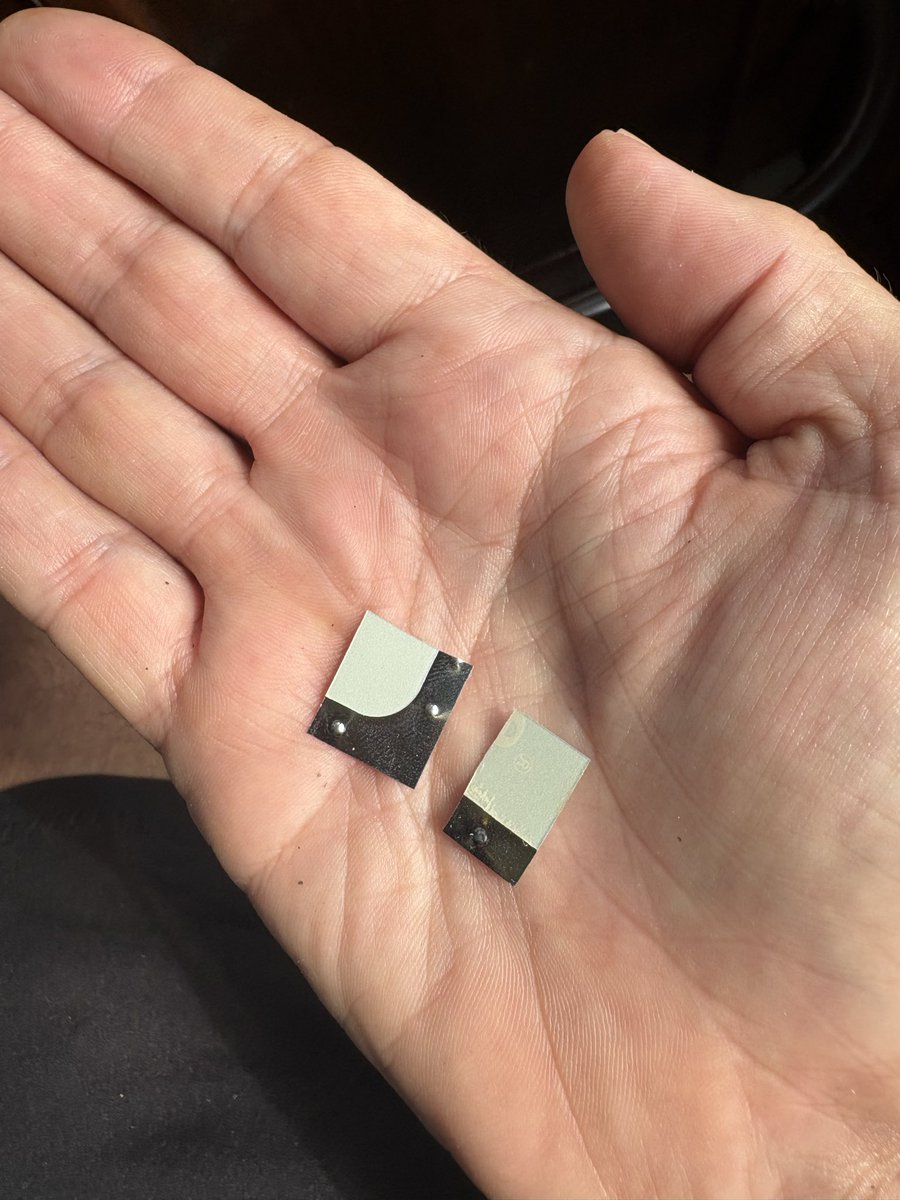 Capt Mylo tweet media