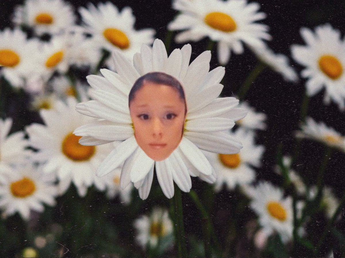 kylie is seeing ariana 🥺 tweet media