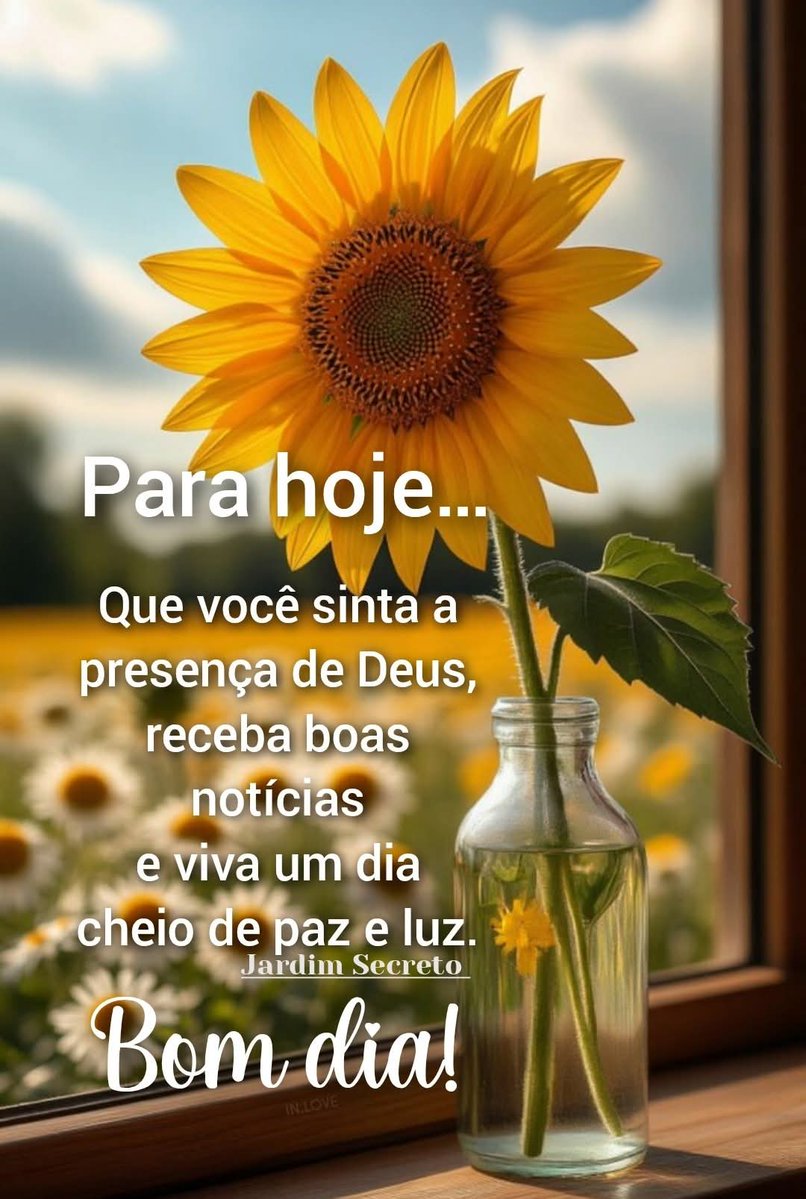 Noraney Flores tweet media