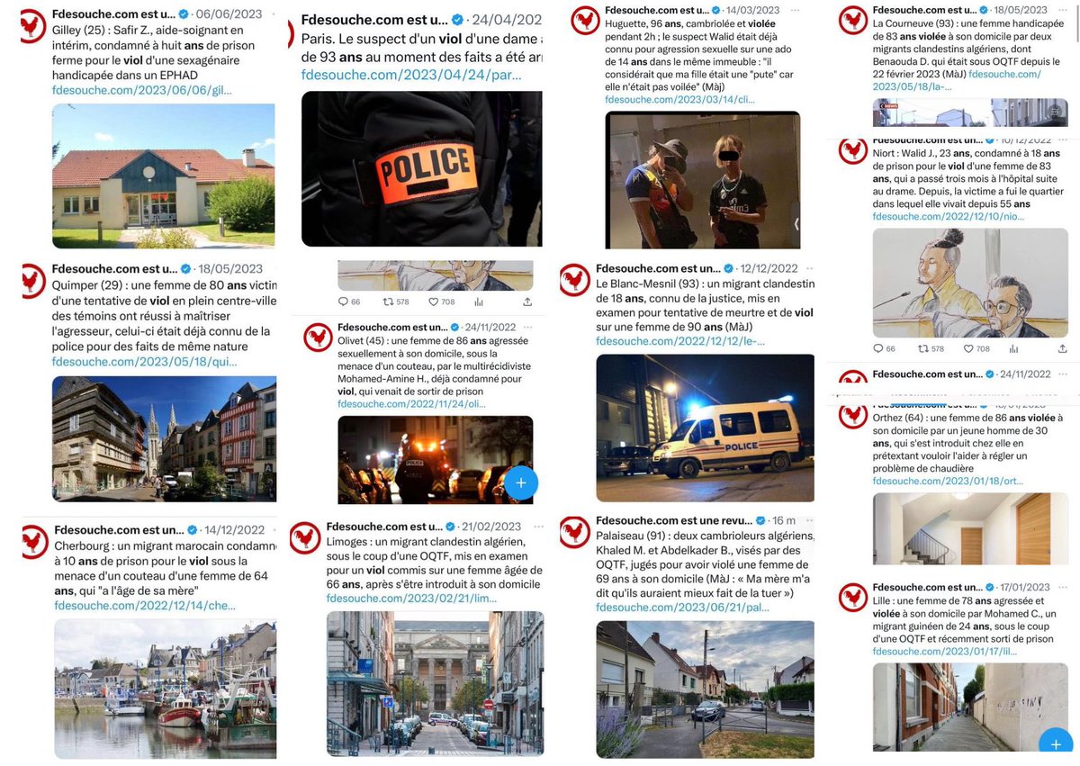 soizic sendral tweet media