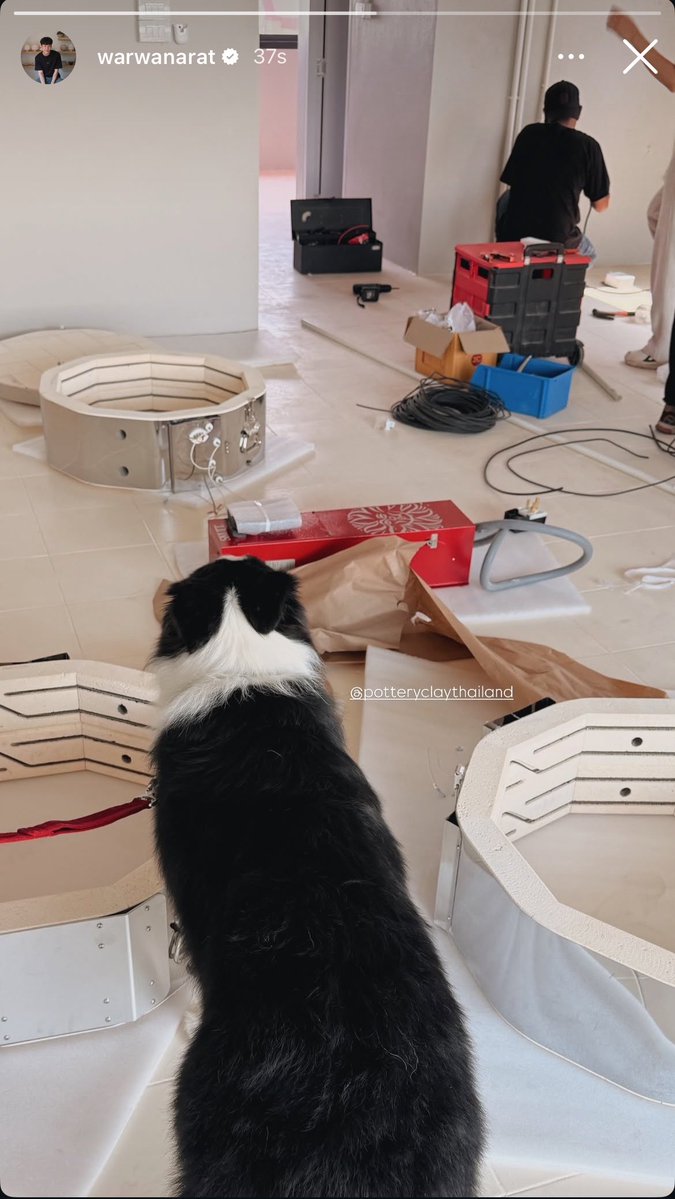 Theory of YinWar tweet media