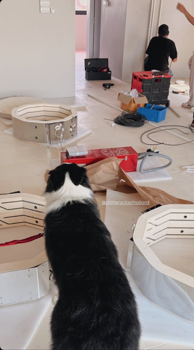 Theory of YinWar tweet media