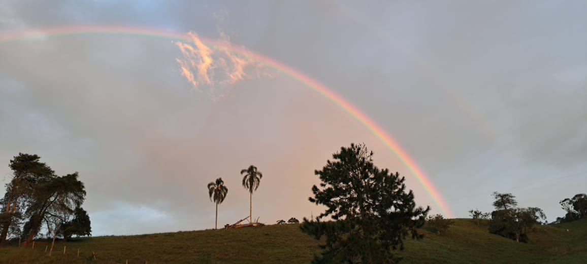 Zulma Faiad tweet media