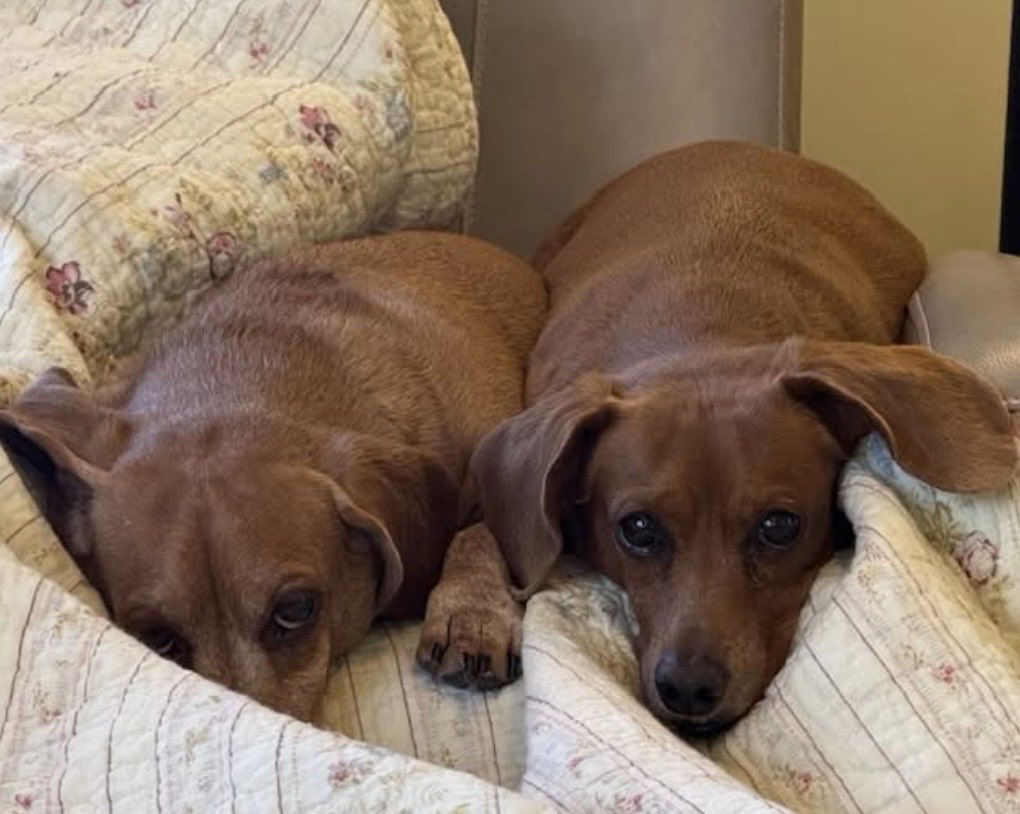 Shiny Happy Kid ~ I am THAT Girl! tweet media