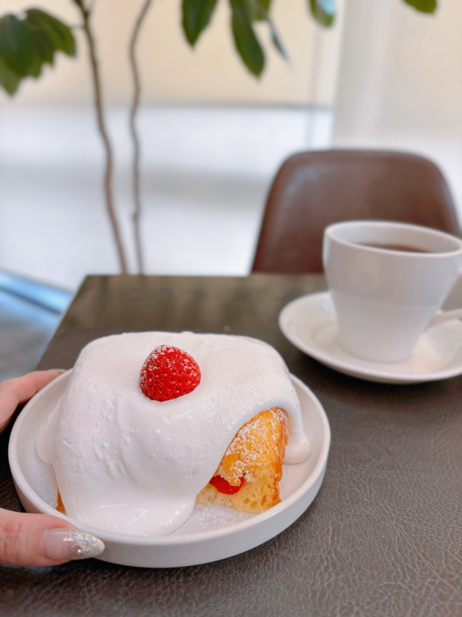 ふーちゃん꙳* tweet media