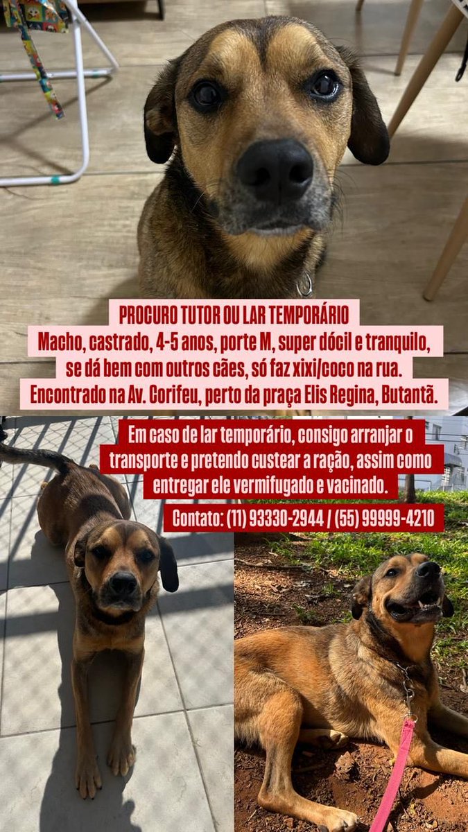 Rodrigo Campos tweet media