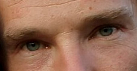 Bufo Calvin tweet media