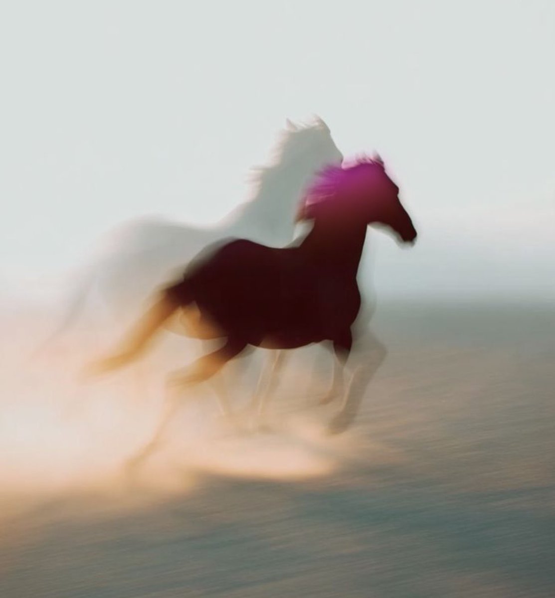 صحيت وأنا أشعر بمعنى " التوق " واتأملها بتمييز عن معنى الشوق والإفتقاد ، فحين نشعر بالتوق لأحد أو شيء لا يمكن أن يختلط بهذا الشعور شعور آخر منخفض أو حزين ، ولا يمكن أن نشعر به جزئياً أو حالياً كما هو في حال " الشوق والإفتقاد" 

التوق شعور عالي وعاصف وعنيد 
وأحس إنه جاي من بعيد