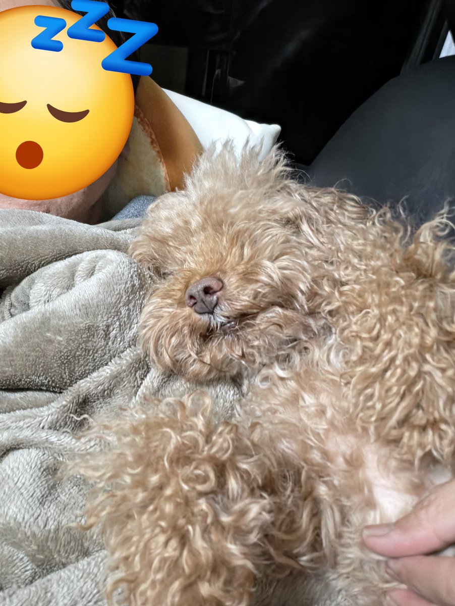 皆さま✨こんばんは🌙
今日も一日おつかれさまでした😌

今日はお休みでしたが腰を痛めたのが治ってないので😓
ほぼ、家でのんびりしてました😣

身体を休めるのも立派な一日ですね🤭

皆さまは今日どんな一日を過ごしましたか〜？🤔