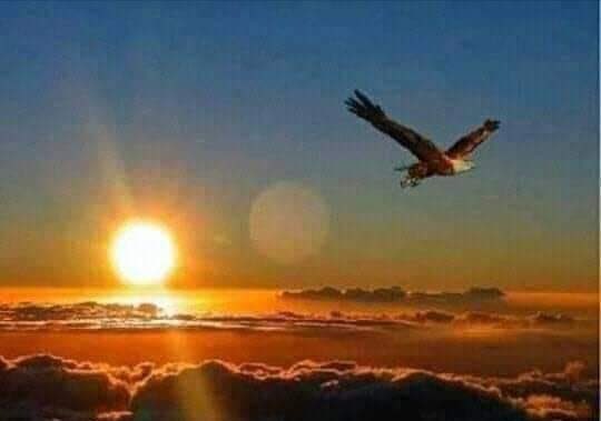 ❤️ابحث عن زوجه 👇🇸🇦 tweet media