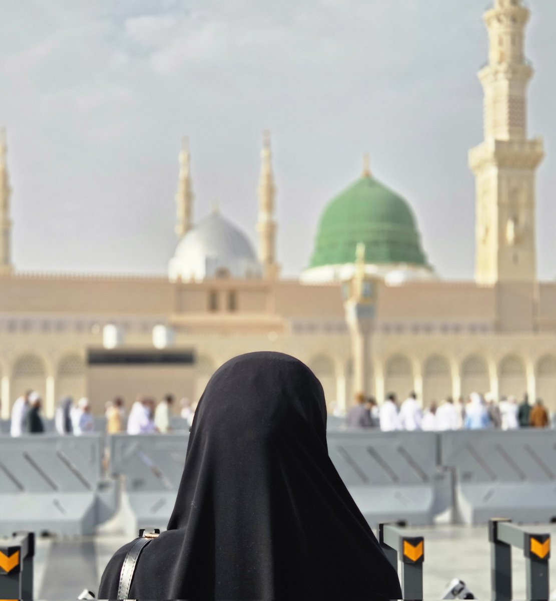 حافظة ✨ tweet media