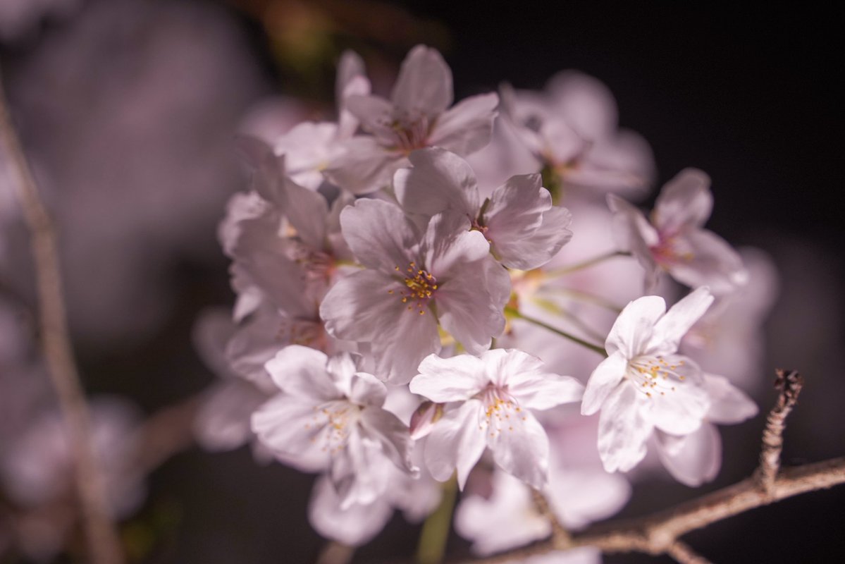 有舞( 交流垢¨̮⃝ ) tweet media