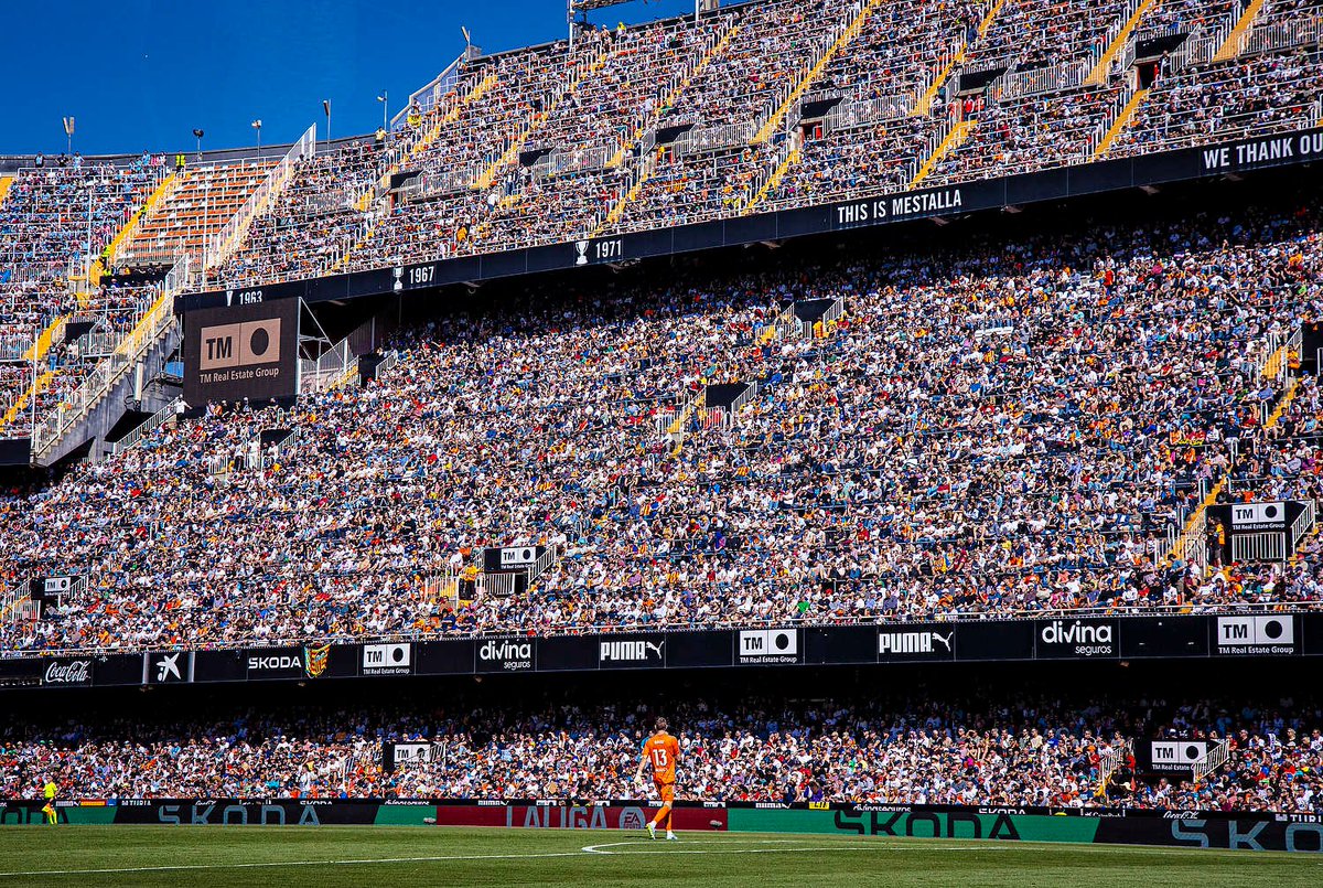 GRADA B pro tweet media