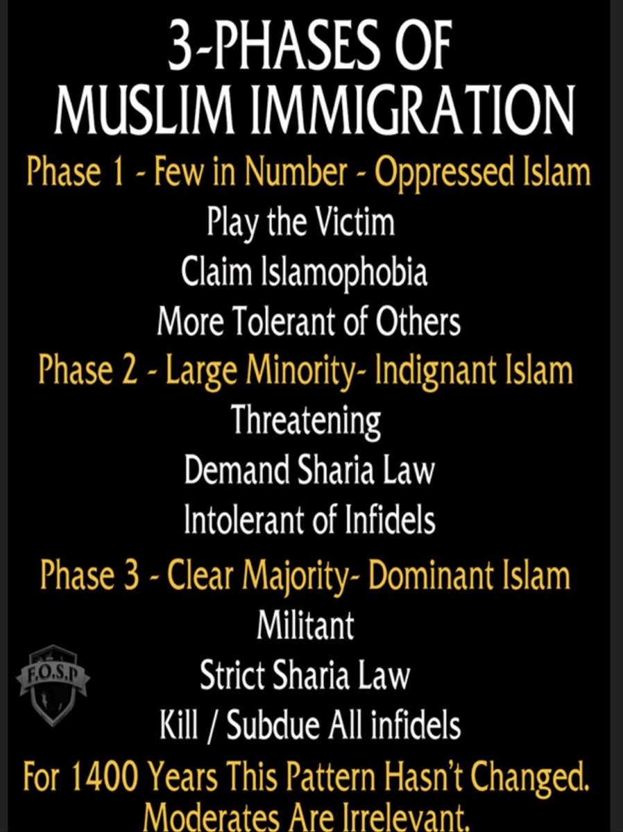 Tom Terrific tweet media