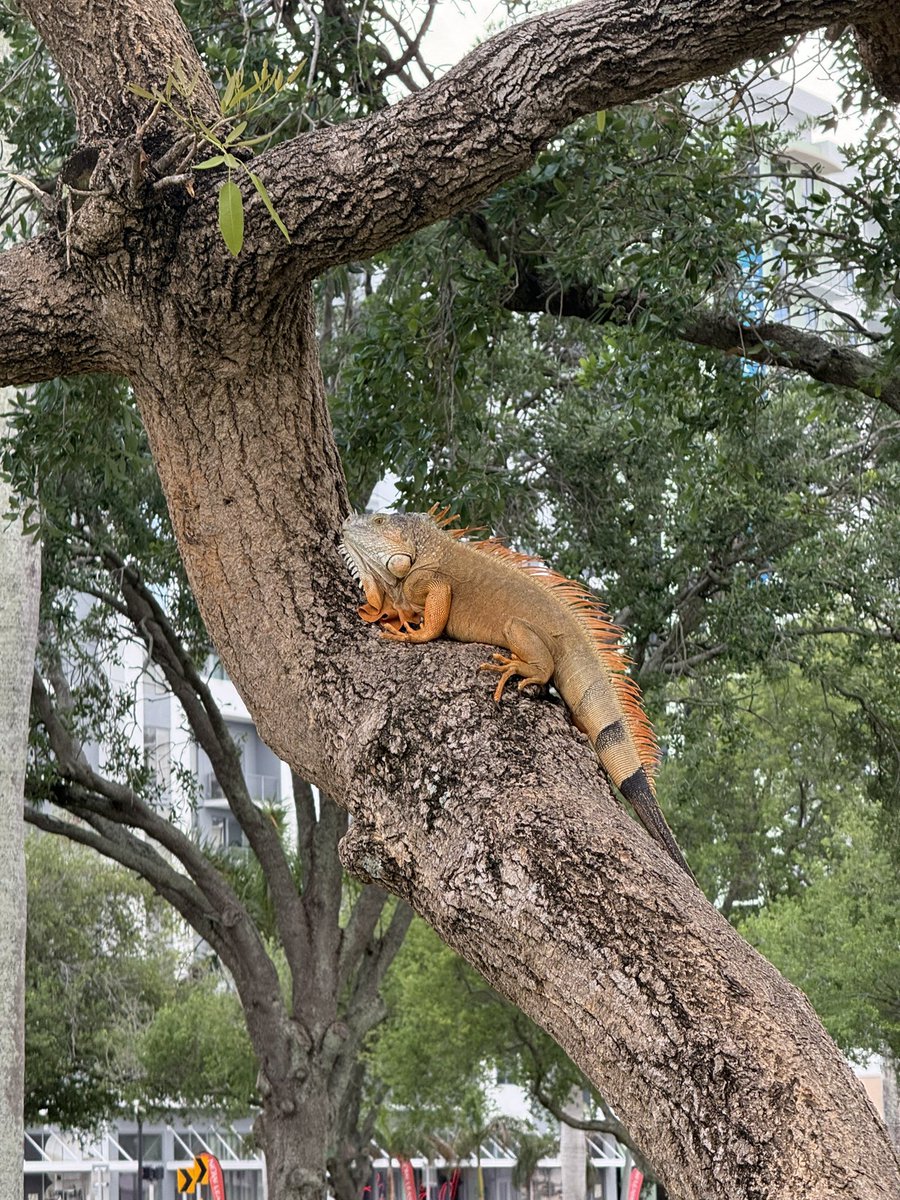 YON 🌍 WORLD ➐ tweet media