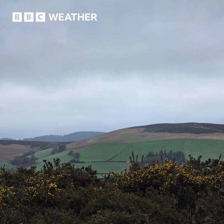BBC Weather tweet media