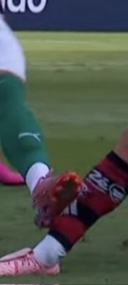 ⓟ Radamés $€ⓟ 💚🖐️🖐️✌️🏆 tweet media