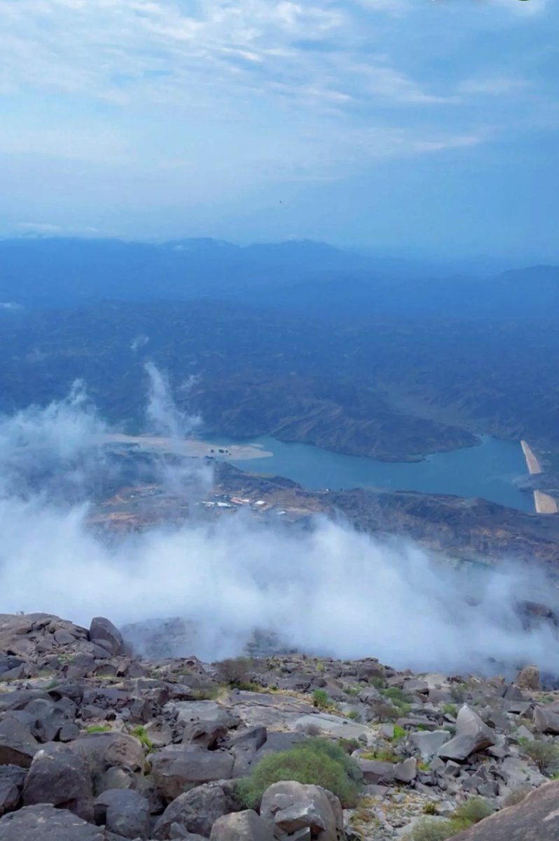 ناصر الشدوي tweet media