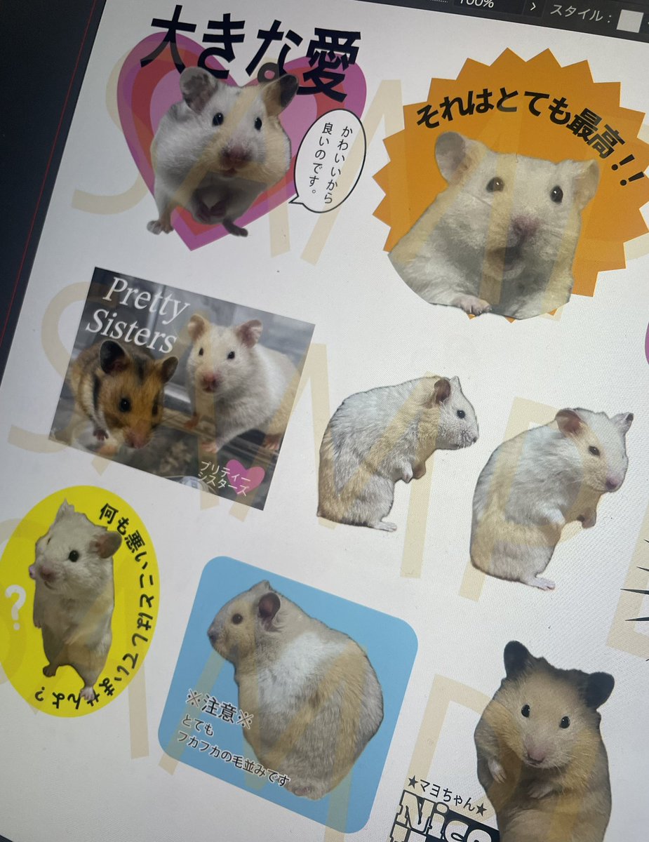 すずはる🐹🐰 tweet media