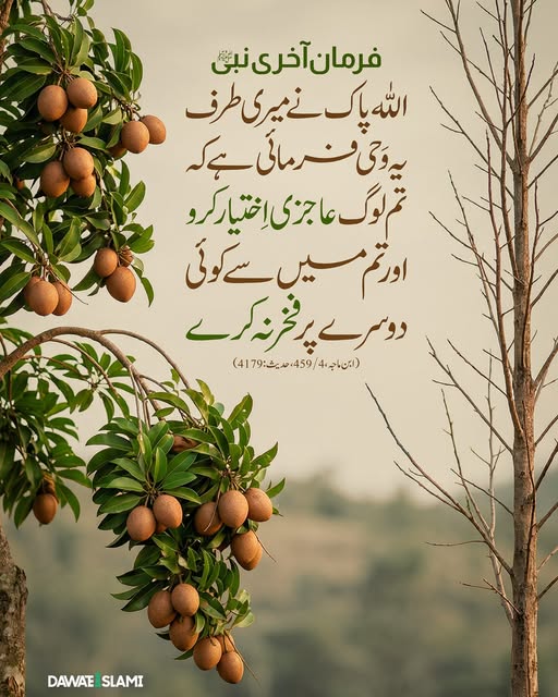 MADANIinfo's tweet image. الله پاک ہمیں عاجزی کرنے کی توفیق عطا فرمائے آمین
#Hadith