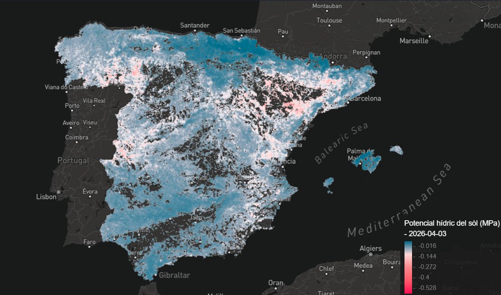 Prismàtic tweet media