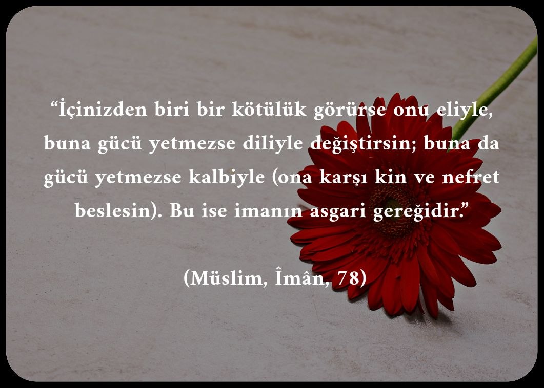 Büşra CAN (@bracan12102478) on Twitter photo 
