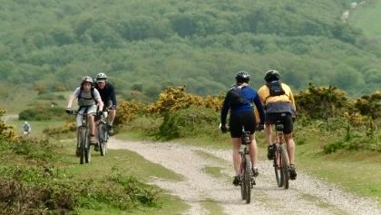Cheverton Copse tweet media