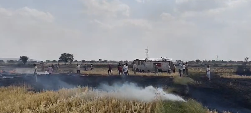 bstvlive's tweet image. चित्रकूट : अज्ञात कारणों से खड़ी फसल में लगी आग

➡लगभग 25 बीघे में गेहूं की फसल हुई खाक
➡किसानों, दमकल ने आग में पाया काबू
➡चित्रकूट के गनिवा चौकी क्षेत्र का मामला
 
#Chitrakoot #WheatFire #FarmersLoss @chitrakootpol