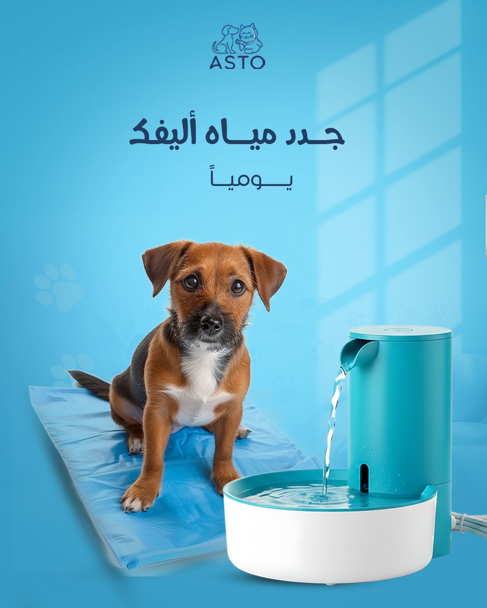 Asto_Vet's tweet photo. مياه نظيفة ومتجددة طول اليوم… لأن صحته تبدأ من شربه 👌
✨ جدّد مياه اليفك يوميًا
✨ نظافة أكثر = صحة أفضل https://t.co/vZdEBq0XSE