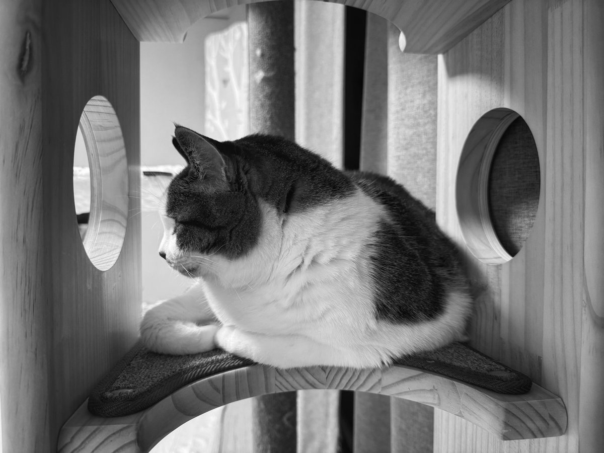 미틈달 초닷새🌱 tweet media